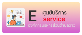 องค์การบริหารส่วนตำบลวาวี