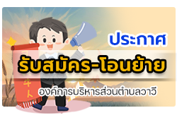 องค์การบริหารส่วนตำบลวาวี